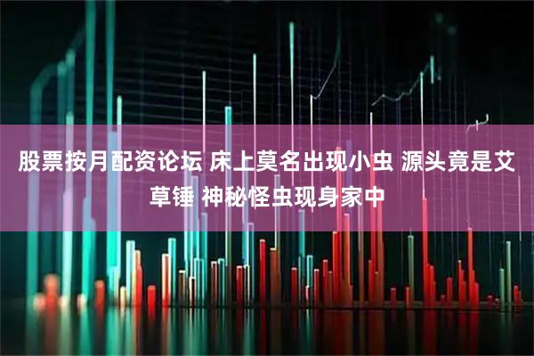 股票按月配资论坛 床上莫名出现小虫 源头竟是艾草锤 神秘怪虫现身家中